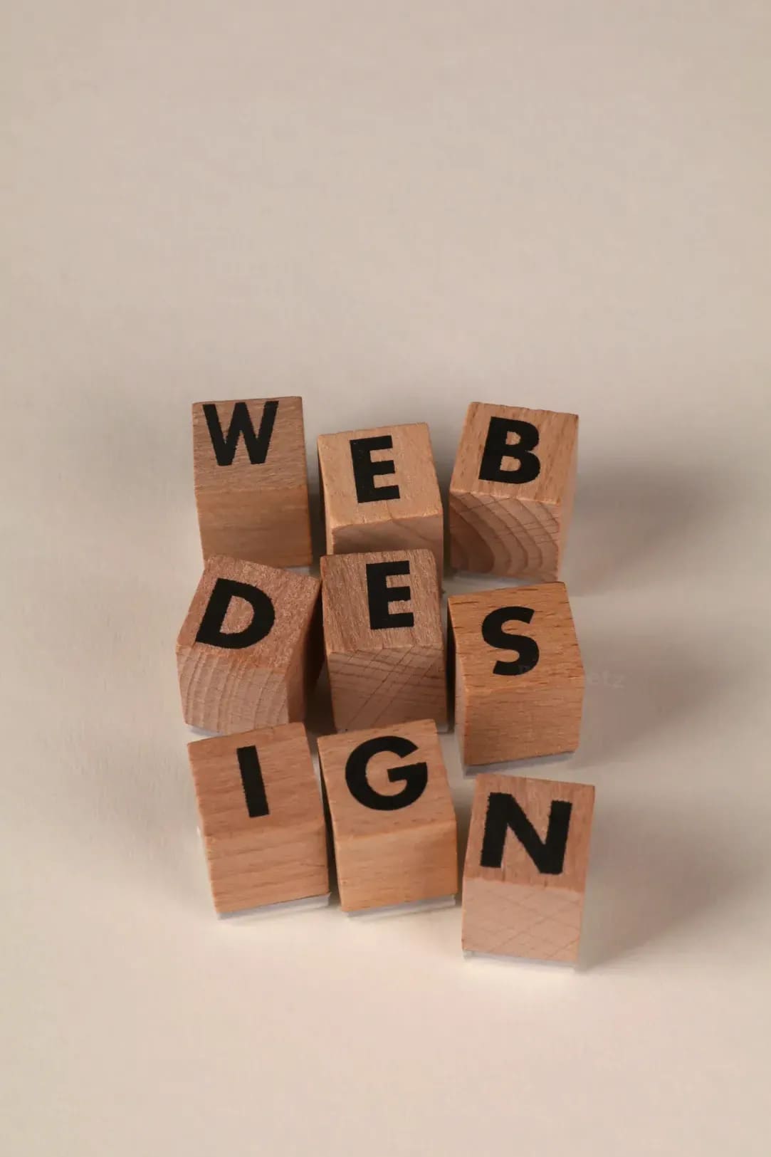 webnetz 5